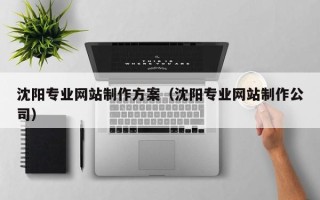 广州沈阳专业网站制作方案（沈阳专业网站制作公司）